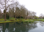 FZ004546 Flowers around pond.jpg